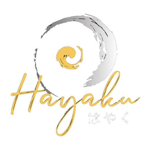 Hayaku Leipzig logo