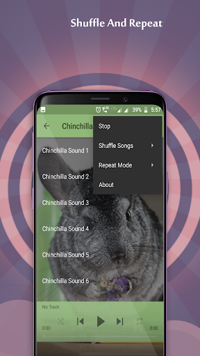 Chinchilla Sounds Screenshot 2 - AppWisp.com