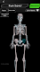 screenshot of Osseous System in 3D (Anatomy)