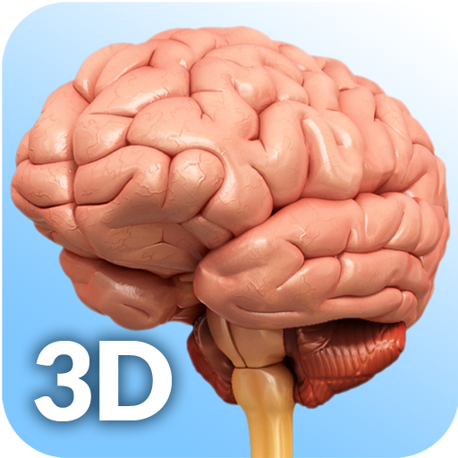 Brain Anatomy Pro. 2.1 Icon