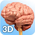 Cover Image of Baixar Anatomia do Cérebro Pro.  APK
