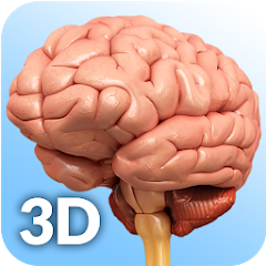 Brain Anatomy Pro. Apk Download