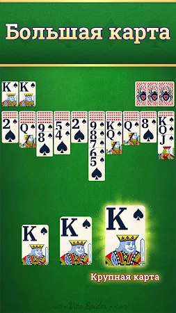 Game screenshot Vita Spider для пожилых людей hack