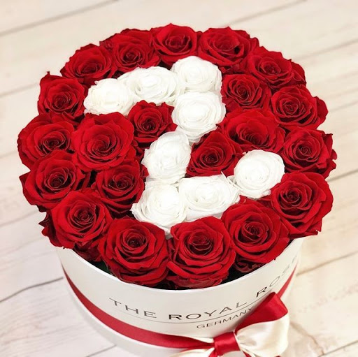 Featured images of the letter Z