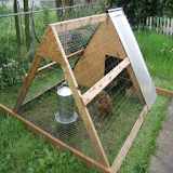 How To Build A Chicken Coop icon