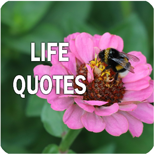 LIFETIME QUOTES OF SUCCESS logo