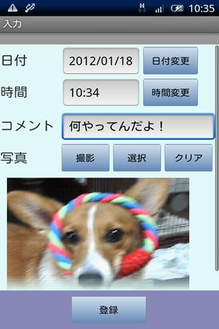 Photographic Record Lite Screen 2