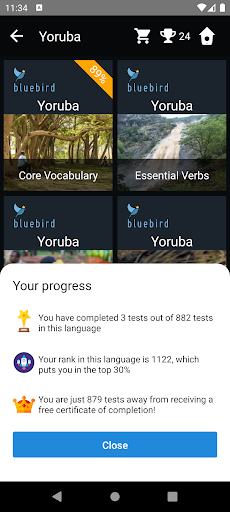 Yoruba Language Tests Screen 3