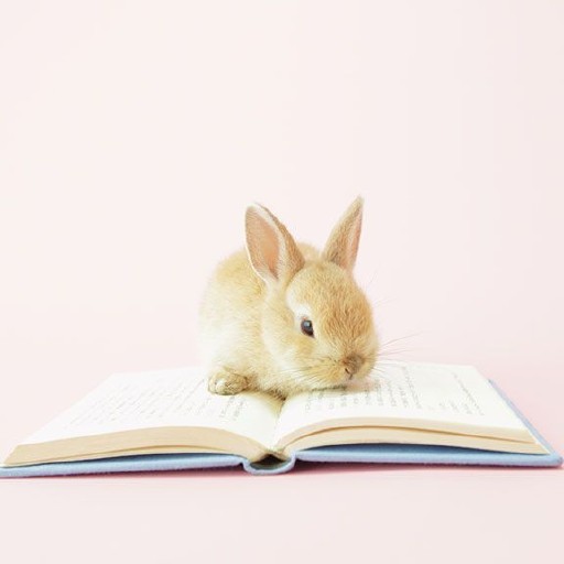 Bunny Wallpapers logo