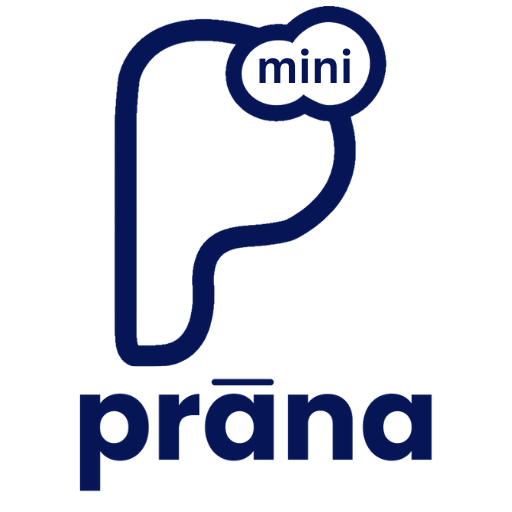 Prana Mini Pos Download on Windows