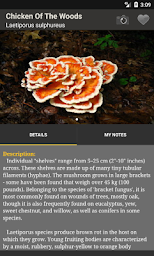 Mushroom Tracker