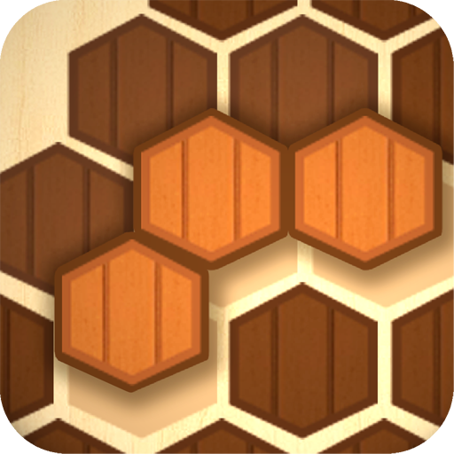 Wooden Hexa Puzzle  Icon