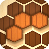 Wooden Hexa Puzzle icon