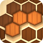 Wooden Hexa Puzzle