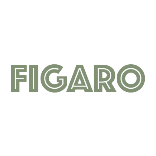 VEPO Figaro  Icon