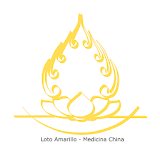 Auriculoterapia Pro - Loto Amarillo icon
