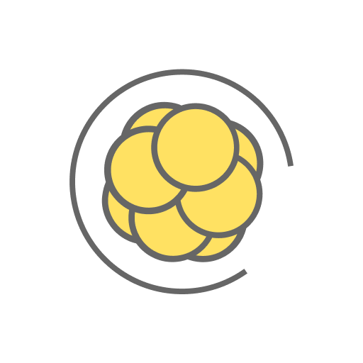 Pronatal Download on Windows