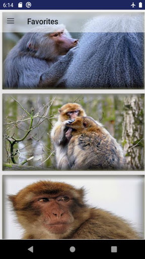 Ape wallpaper Screen 2