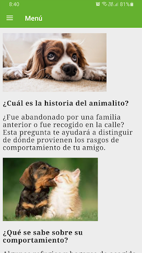 Cómo adoptar y cuidar un perro Screen 3