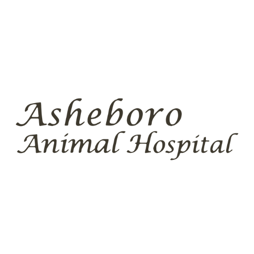 Asheboro Animal Hospital logo