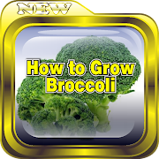 Top 32 Books & Reference Apps Like How to Grow Broccoli - Best Alternatives