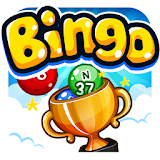 Bingo Tournaments icon