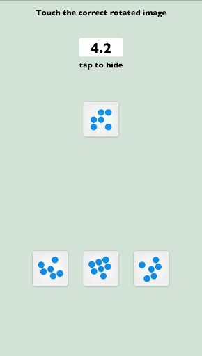 Mental Rotation - Spatial Inte