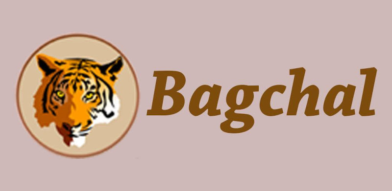 Bagchal