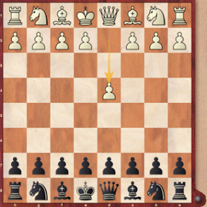 Chess 55