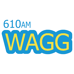 610 WAGG: Download & Review