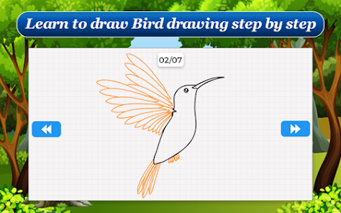 How to Draw Birds Step by Step