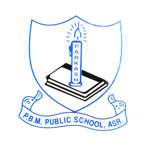 P.B.M Public School logo