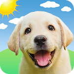 Cover Image of Baixar Weather Puppy - App & Widget Previsão do tempo  APK