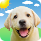 Weather Puppy - App & Widget Weather Forecast دانلود در ویندوز