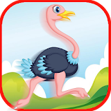Paradise Bird Adventure icon