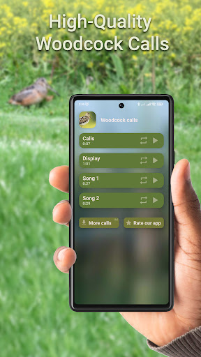 Android application Woodcock Hunting Calls screenshort