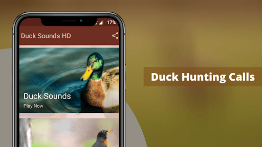 Android application Duck Sounds screenshort