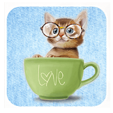 Cute Baby Cat icon