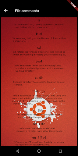 Ubuntu basic Commands Screen 2