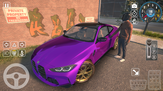 Purple Cars 2025