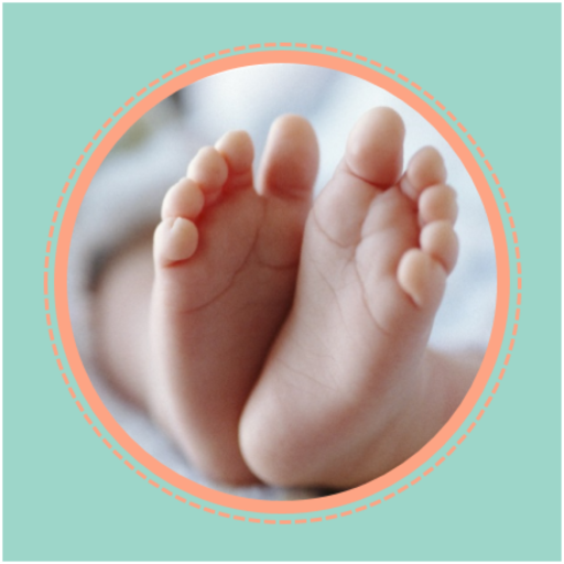 the ivf project - AppWisp.com