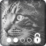 Cat Kitty Cute Pets Your Joy Lock Screen icon