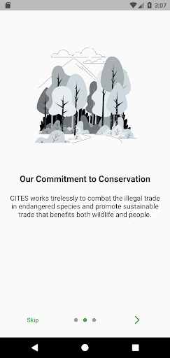 Cites Ghana Screen 2