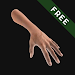 Hand Draw 3D Pose Tool FREE 2.18