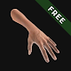 Hand Draw 3D Pose Tool FREE Download on Windows