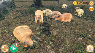 Capybara Zoo - Screenshot 2