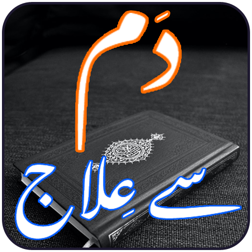 Dam Se Ilaj logo