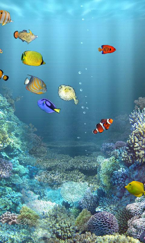 Android application aniPet Marine Aquarium HD screenshort