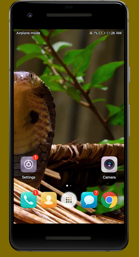Wild Life Video Wallpaper Screen 2