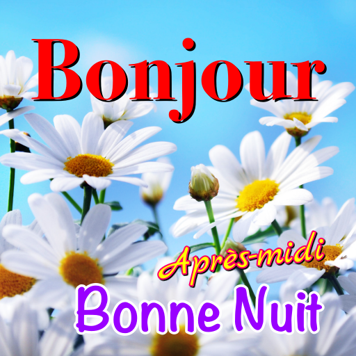 French Good Morning to Night logo